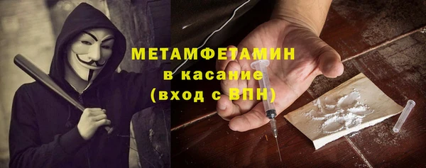 хмурый Аркадак