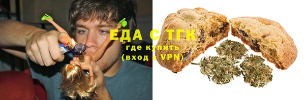 хмурый Аркадак