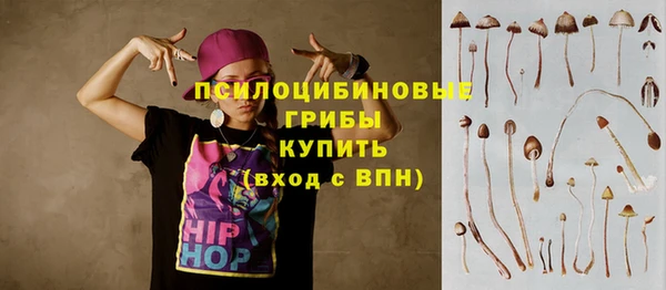гидра Арсеньев