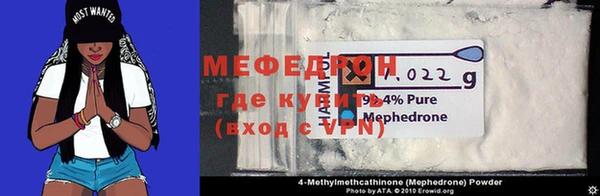 хмурый Аркадак