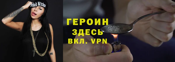 хмурый Аркадак