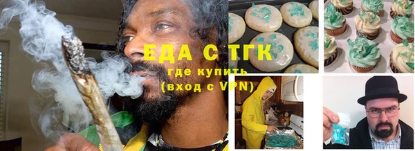 хмурый Аркадак