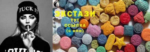 хмурый Аркадак