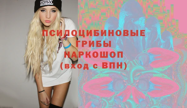 хмурый Аркадак